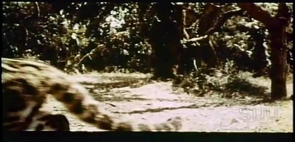  Tarzana, the Wild Woman (1969) - Preview Trailer